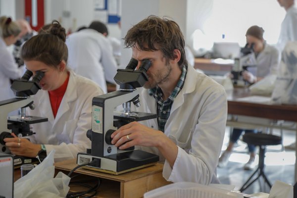 LSTM students look through microscopes in the LSTM teaching lab.