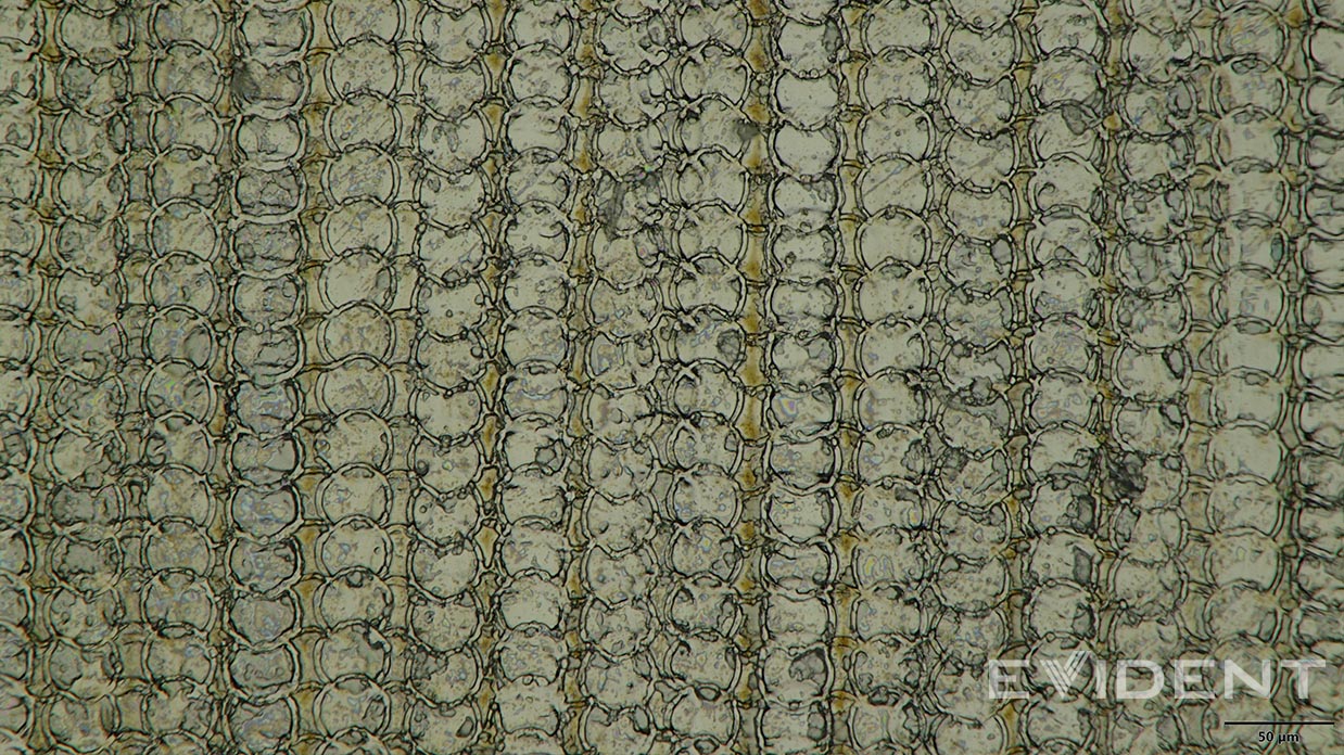 Okay, So Apple’s Using 3D Printing in the iPhone Air. But How?